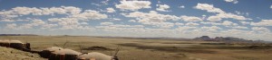 DSC00854