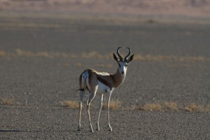 IMG_4015