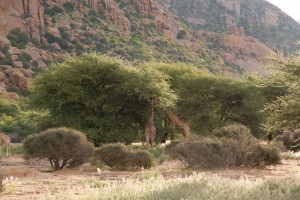 IMG_5148