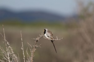 IMG_5876