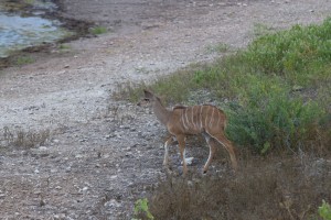IMG_6680