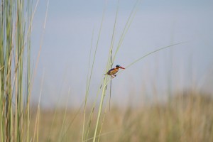 IMG_7857